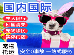 丽江三义空运代理国际宠物托运 【国